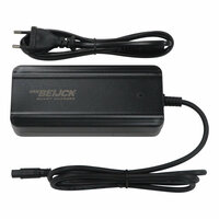 Universele 2 ampère 3 pins 10mm ronde plug oplader 